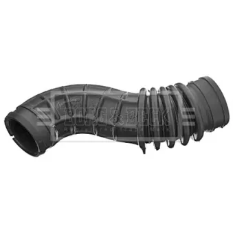 Tuyau d'aspiration, alimentation d'air BORG & BECK BTH1462