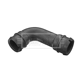 Tuyau d'aspiration, alimentation d'air BORG & BECK BTH1467