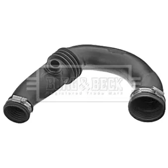 Gaine de suralimentation BORG & BECK BTH1476