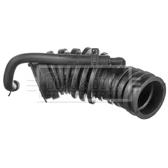 Tuyau d'aspiration, alimentation d'air BORG & BECK BTH1493