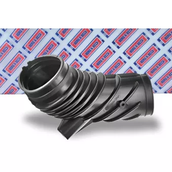 Tuyau d'aspiration, alimentation d'air BORG & BECK BTH1495