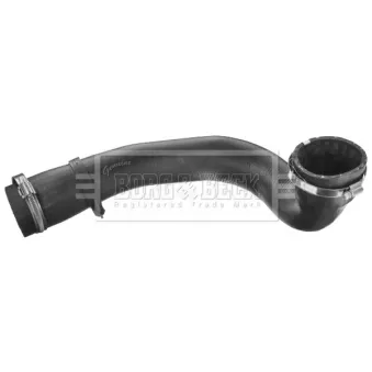 Gaine de suralimentation BORG & BECK BTH1501