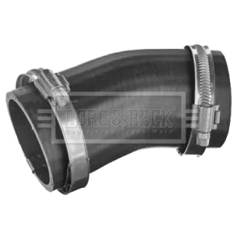 Gaine de suralimentation BORG & BECK BTH1502