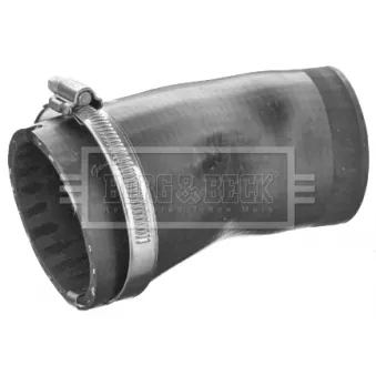 Gaine de suralimentation BORG & BECK BTH1504