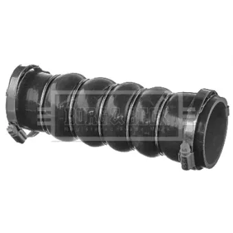 Gaine de suralimentation BORG & BECK BTH1510