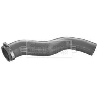 Gaine de suralimentation BORG & BECK BTH1529
