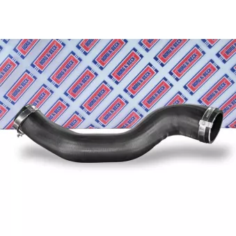 Gaine de suralimentation BORG & BECK BTH1533