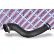 Gaine de suralimentation BORG & BECK BTH1535 - Visuel 2