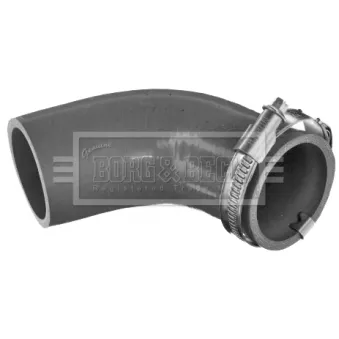 Gaine de suralimentation BORG & BECK BTH1538