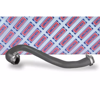Gaine de suralimentation BORG & BECK BTH1542