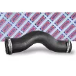 Gaine de suralimentation BORG & BECK BTH1545 - Visuel 2