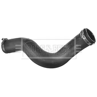 Gaine de suralimentation BORG & BECK BTH1546