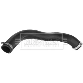 Gaine de suralimentation BORG & BECK BTH1548