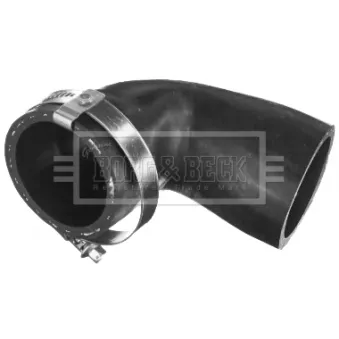 Gaine de suralimentation BORG & BECK BTH1553