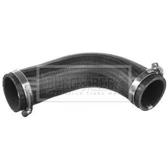 Gaine de suralimentation BORG & BECK BTH1555