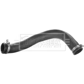 Gaine de suralimentation BORG & BECK BTH1556