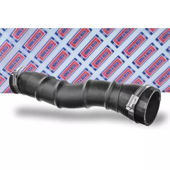 Gaine de suralimentation BORG & BECK BTH1561