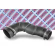 Gaine de suralimentation BORG & BECK BTH1563 - Visuel 1