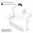 Gaine de suralimentation BORG & BECK BTH1564 - Visuel 3