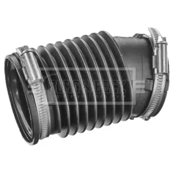 Gaine de suralimentation BORG & BECK BTH1574
