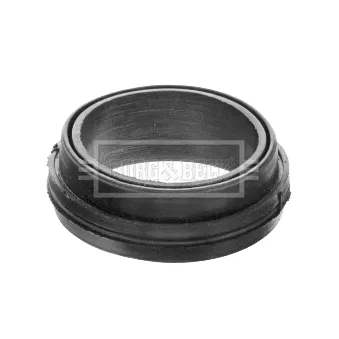 Gaine de suralimentation BORG & BECK BTH1575