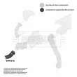 Gaine de suralimentation BORG & BECK BTH1576 - Visuel 3
