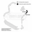 Gaine de suralimentation BORG & BECK BTH1594 - Visuel 3