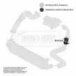 Gaine de suralimentation BORG & BECK BTH1595 - Visuel 3