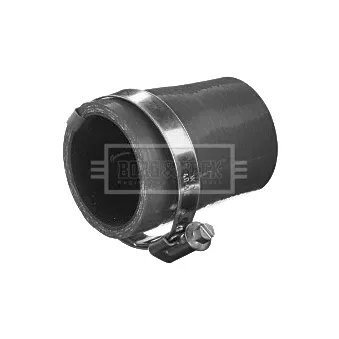 Gaine de suralimentation BORG & BECK BTH1596