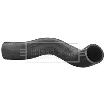 Gaine de suralimentation BORG & BECK BTH1599