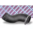 Gaine de suralimentation BORG & BECK BTH1611 - Visuel 2