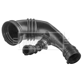 Tuyau d'aspiration, alimentation d'air BORG & BECK BTH1612