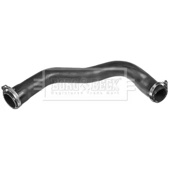 Gaine de suralimentation BORG & BECK BTH1616