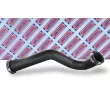 Gaine de suralimentation BORG & BECK BTH1625 - Visuel 2