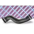 Gaine de suralimentation BORG & BECK BTH1626 - Visuel 2