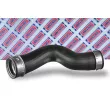 Gaine de suralimentation BORG & BECK BTH1629 - Visuel 2