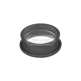 Gaine de suralimentation BORG & BECK BTH1640