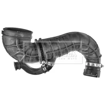 Tuyau d'aspiration, alimentation d'air BORG & BECK BTH1651