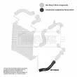 Gaine de suralimentation BORG & BECK BTH1663 - Visuel 3