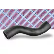 Gaine de suralimentation BORG & BECK BTH1666 - Visuel 1