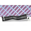 Gaine de suralimentation BORG & BECK BTH1672 - Visuel 1