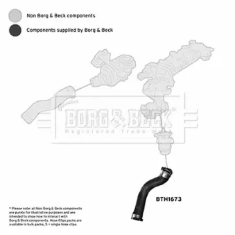 Gaine de suralimentation BORG & BECK BTH1673