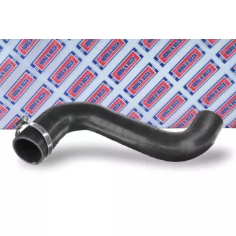 Gaine de suralimentation BORG & BECK BTH1694