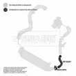 Gaine de suralimentation BORG & BECK BTH1697 - Visuel 3