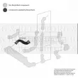 Gaine de suralimentation BORG & BECK BTH1702 - Visuel 3