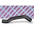 Gaine de suralimentation BORG & BECK BTH1722 - Visuel 2