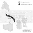 Gaine de suralimentation BORG & BECK BTH1722 - Visuel 3