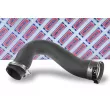 Gaine de suralimentation BORG & BECK BTH1725 - Visuel 1