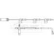 Contact d'avertissement, usure des plaquettes de frein BORG & BECK BWL3028 - Visuel 2