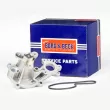 Pompe à eau, refroidissement du moteur BORG & BECK BWP3079 - Visuel 1